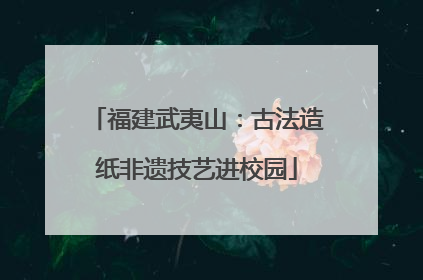 福建武夷山：古法造纸非遗技艺进校园