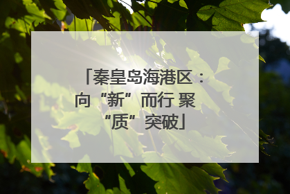 秦皇岛海港区：向“新”而行 聚“质”突破