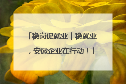 稳岗促就业｜稳就业，安徽企业在行动！