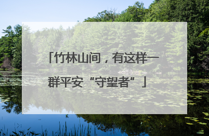 竹林山间，有这样一群平安“守望者”