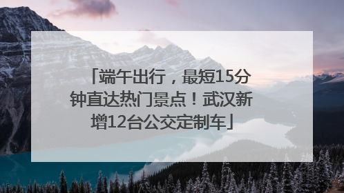 端午出行，最短15分钟直达热门景点！武汉新增12台公交定制车
