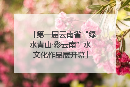 第一届云南省“绿水青山·彩云南”水文化作品展开幕
