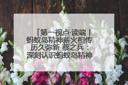 第一视点·读端丨蚂蚁岛精神薪火相传历久弥新 蔡之兵：深刻认识蚂蚁岛精神的“精气神”