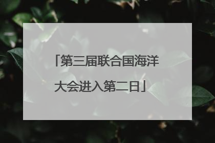 第三届联合国海洋大会进入第二日