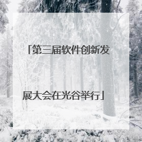 第三届软件创新发展大会在光谷举行