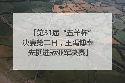第31届“五羊杯”决赛第二日，王禹博率先挺进冠亚军决赛
