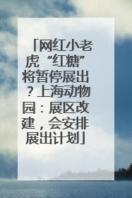 网红小老虎“红糖”将暂停展出？上海动物园：展区改建，会安排展出计划