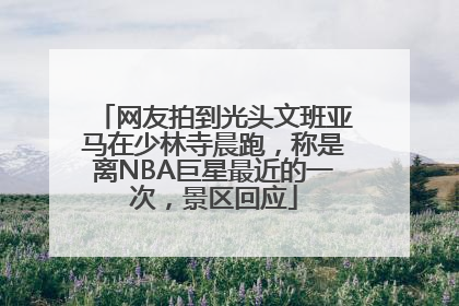 网友拍到光头文班亚马在少林寺晨跑，称是离NBA巨星最近的一次，景区回应