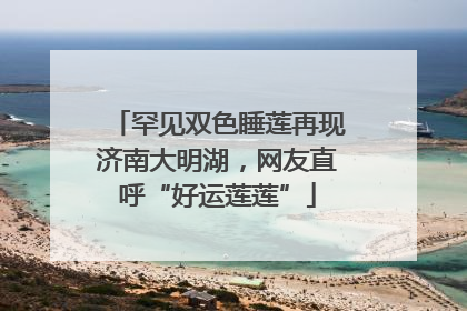 罕见双色睡莲再现济南大明湖，网友直呼“好运莲莲”