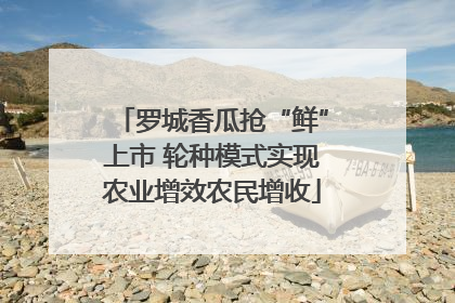 罗城香瓜抢“鲜”上市 轮种模式实现农业增效农民增收