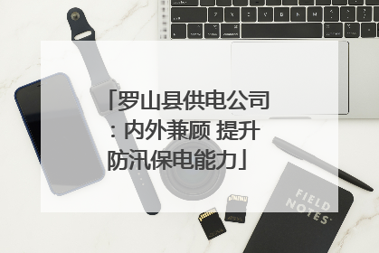 罗山县供电公司：内外兼顾 提升防汛保电能力