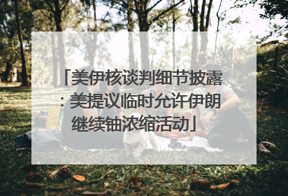 美伊核谈判细节披露：美提议临时允许伊朗继续铀浓缩活动