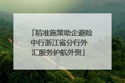 精准施策助企避险 中行浙江省分行外汇服务护航外贸