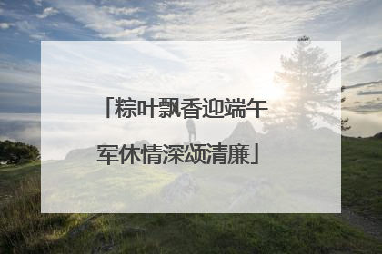 粽叶飘香迎端午 军休情深颂清廉