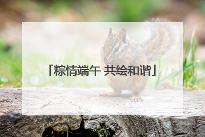 粽情端午 共绘和谐