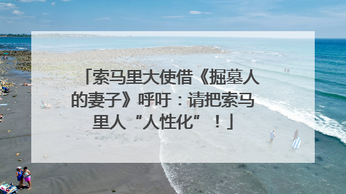 索马里大使借《掘墓人的妻子》呼吁：请把索马里人“人性化”！