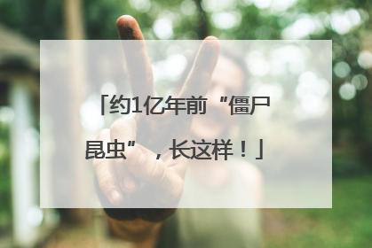 约1亿年前“僵尸昆虫”，长这样！