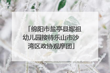 绵阳市盐亭县嫘祖幼儿园接待乐山市沙湾区政协观摩团