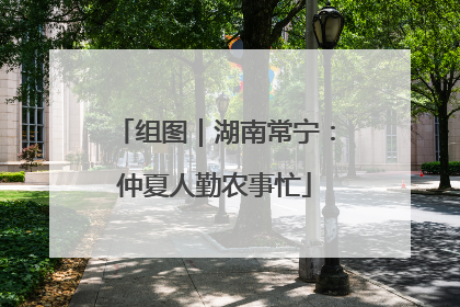 组图｜湖南常宁：仲夏人勤农事忙