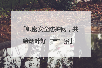 织密安全防护网，共绘烟叶好“丰”景