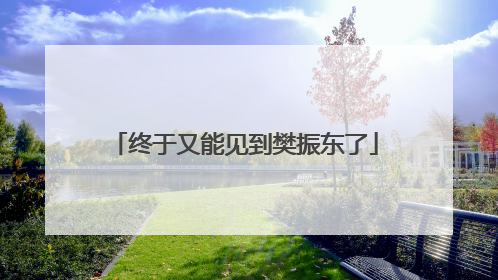 终于又能见到樊振东了