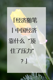 经济随笔丨中国经济靠什么“顶住了压力”？