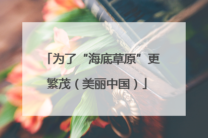 为了“海底草原”更繁茂（美丽中国）