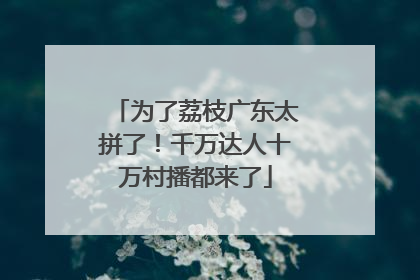 为了荔枝广东太拼了！千万达人十万村播都来了