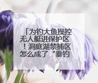 为钓大鱼操控无人艇进保护区！洞庭湖禁捕区怎么成了“垂钓场”？