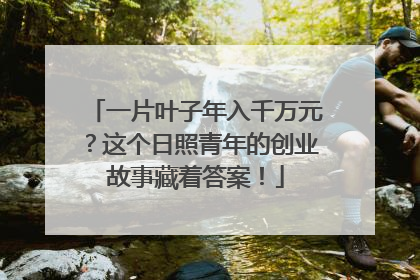 一片叶子年入千万元？这个日照青年的创业故事藏着答案！
