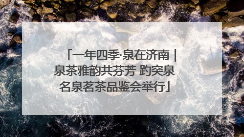 一年四季·泉在济南｜泉茶雅韵共芬芳 趵突泉名泉茗茶品鉴会举行