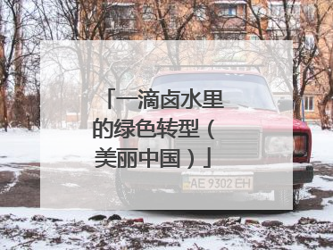 一滴卤水里的绿色转型（美丽中国）