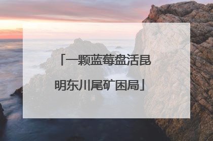 一颗蓝莓盘活昆明东川尾矿困局