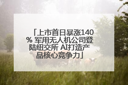 上市首日暴涨140% 军用无人机公司登陆纽交所 AI打造产品核心竞争力