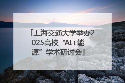 上海交通大学举办2025高校“AI+能源”学术研讨会