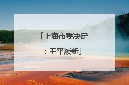 上海市委决定：王平履新