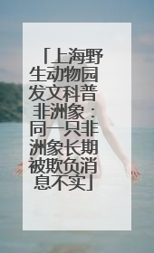 上海野生动物园发文科普非洲象：同一只非洲象长期被欺负消息不实