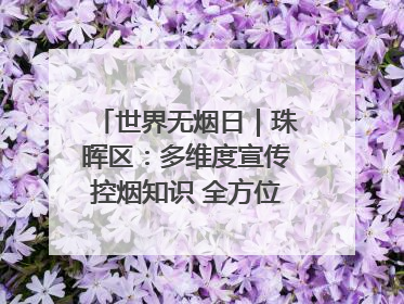 世界无烟日｜珠晖区：多维度宣传控烟知识 全方位共筑健康防线