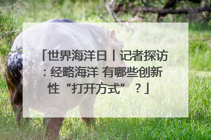 世界海洋日丨记者探访：经略海洋 有哪些创新性“打开方式”？