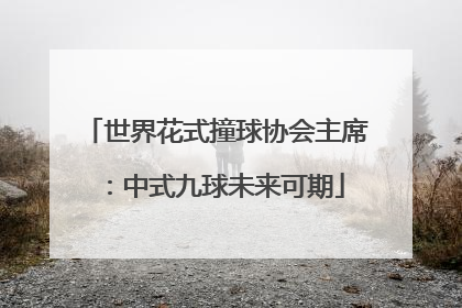 世界花式撞球协会主席：中式九球未来可期