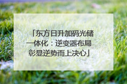 东方日升加码光储一体化：逆变器布局彰显逆势而上决心