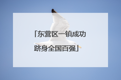 东营区一镇成功跻身全国百强