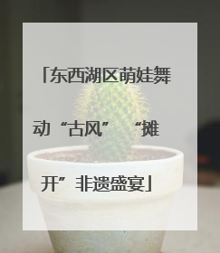 东西湖区萌娃舞动“古风” “摊开”非遗盛宴