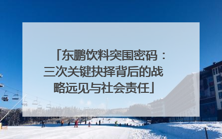 东鹏饮料突围密码：三次关键抉择背后的战略远见与社会责任
