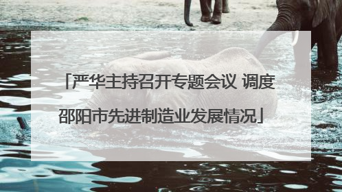 严华主持召开专题会议 调度邵阳市先进制造业发展情况