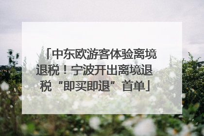 中东欧游客体验离境退税！宁波开出离境退税“即买即退”首单