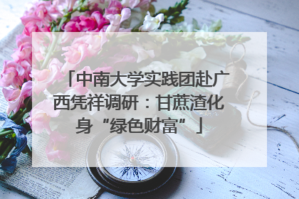 中南大学实践团赴广西凭祥调研：甘蔗渣化身“绿色财富”