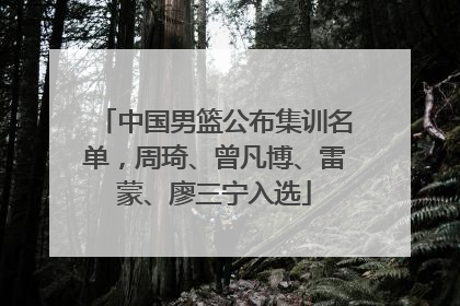 中国男篮公布集训名单，周琦、曾凡博、雷蒙、廖三宁入选