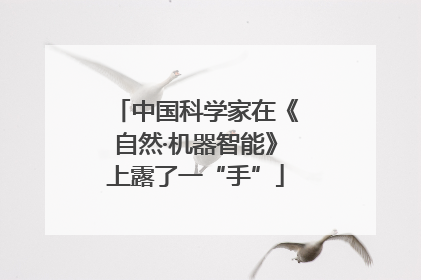 中国科学家在《自然·机器智能》上露了一“手”