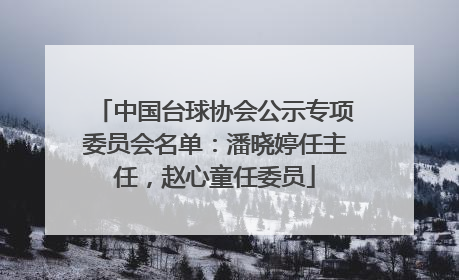 中国台球协会公示专项委员会名单：潘晓婷任主任，赵心童任委员